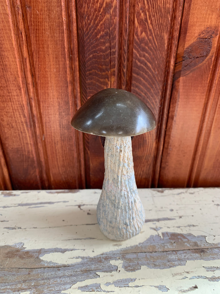 Stone Mushroom Collection
