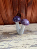Stone Mushroom Collection