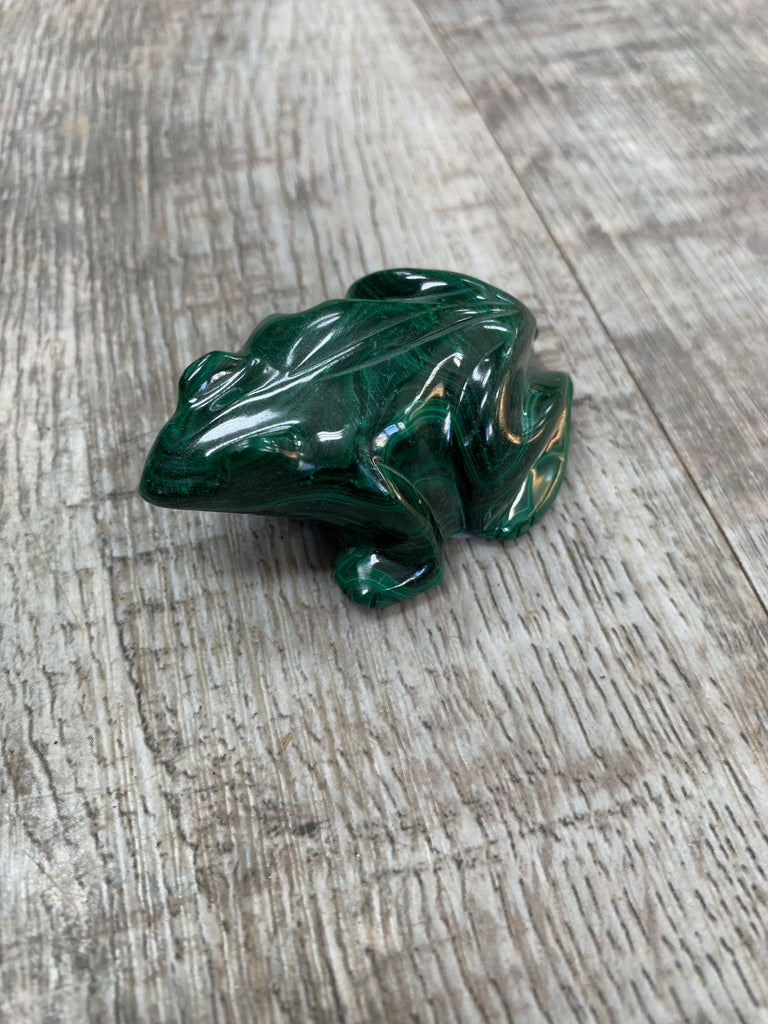 Malachite Frog