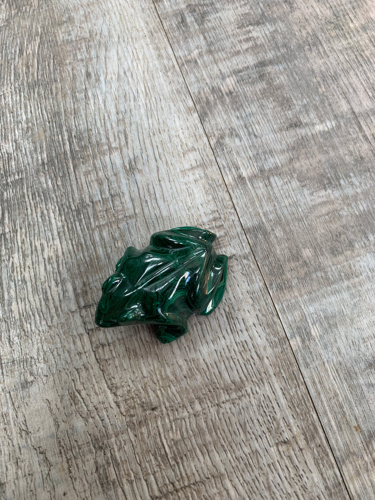 Malachite Frog