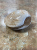 Clam Fossil