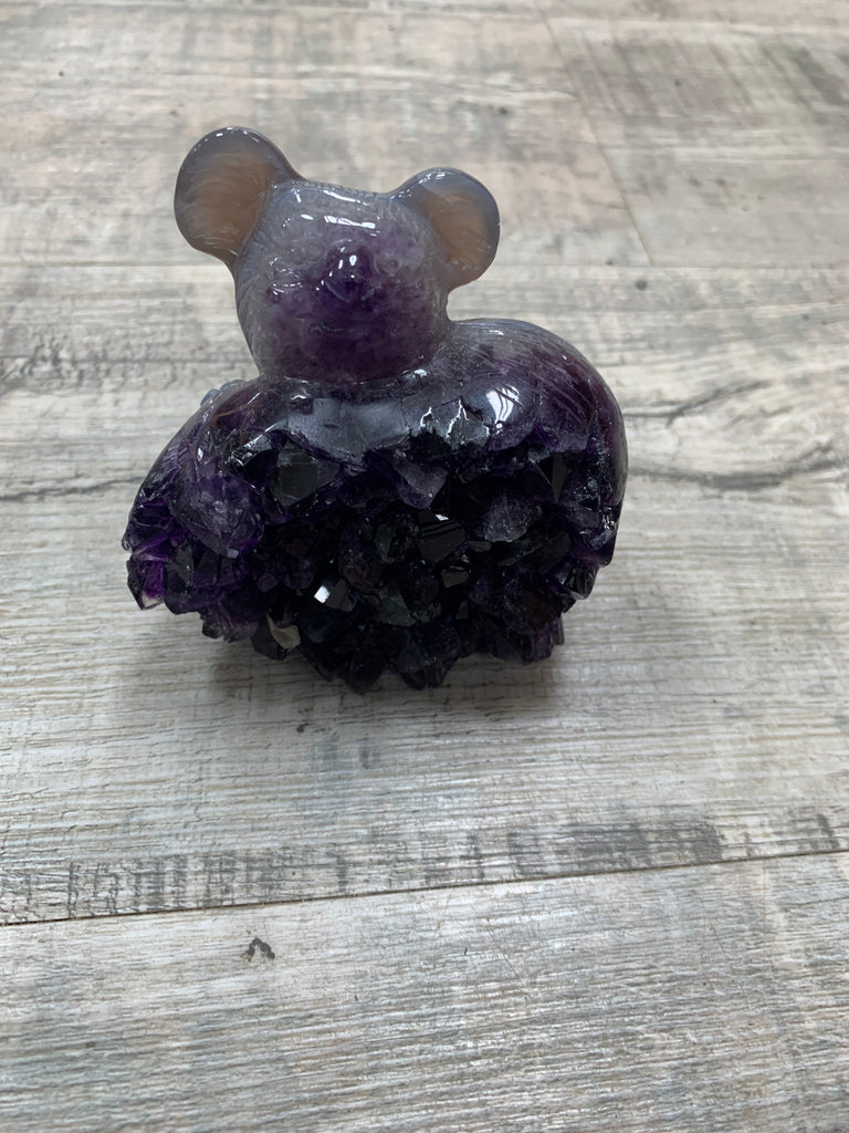 Amethyst Koala