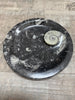 Fossil Dish with Shell