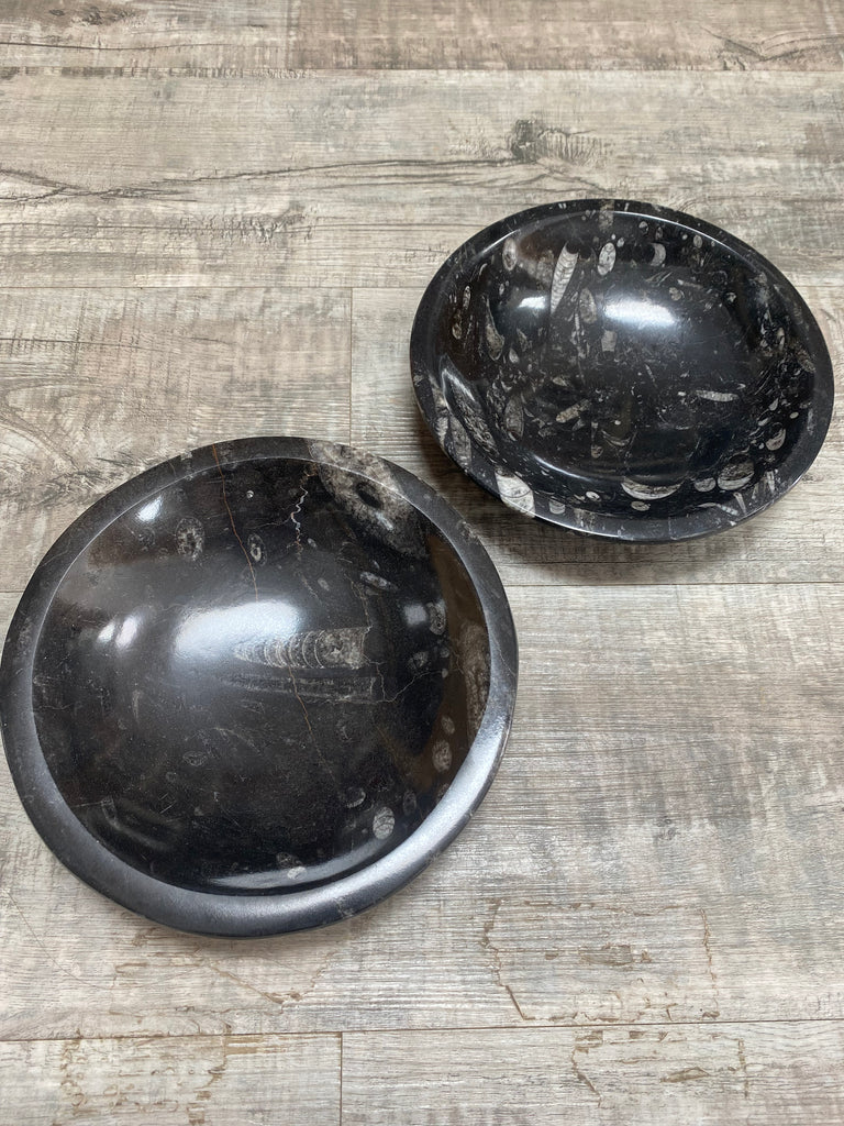 Fossil Bowls