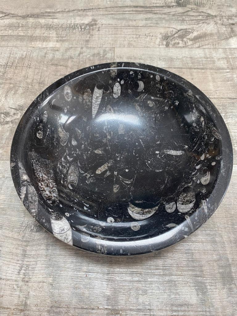 Fossil Bowls