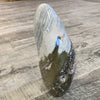 Ocean Jasper free form